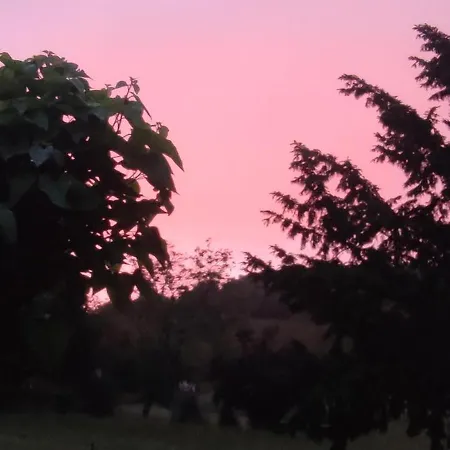 Au Soleil Levant à