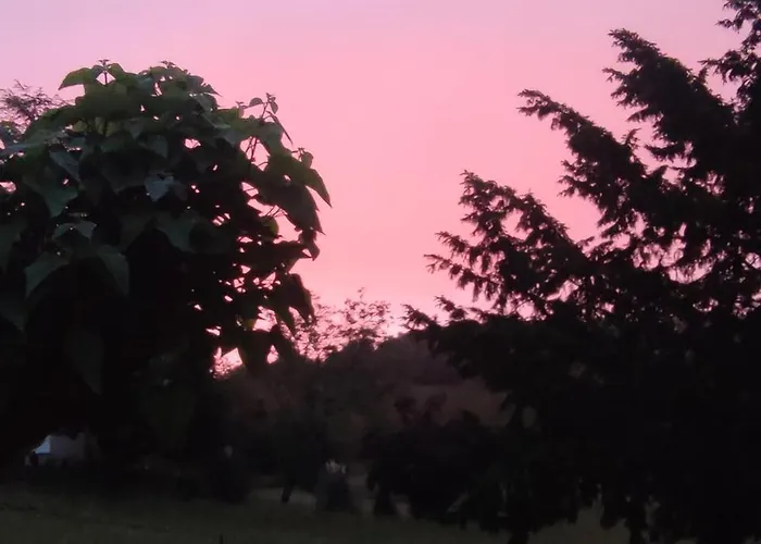 Au Soleil Levant A